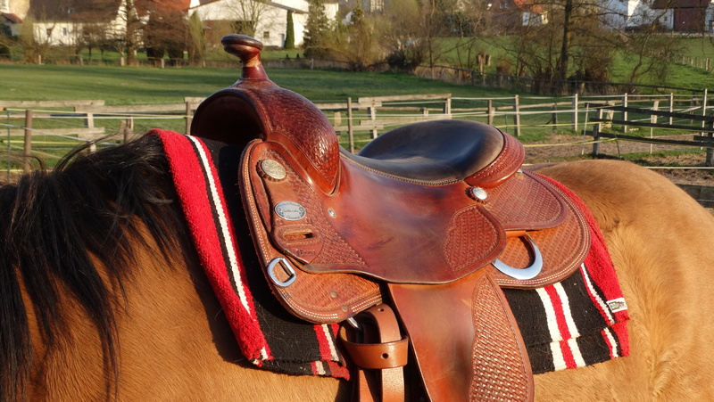 day, horse, herbivorous, western, vertebrate, pets, animal themes, mammal, bridle, livestock, animal, west, outdoors, domestic, ranch, rodeo, one animal