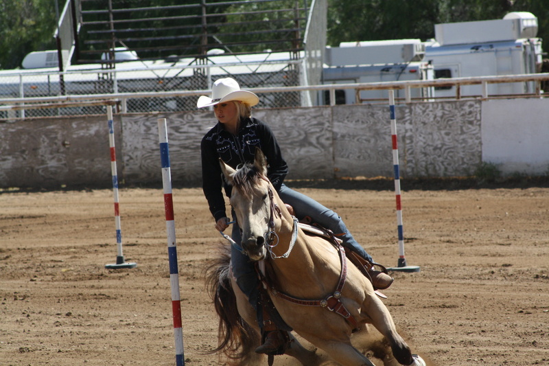 rider, 4K, western, vertebrate, animal wildlife, real people, domestic, working animal, domestic animals, pets, mammal, field, horseback riding, sport