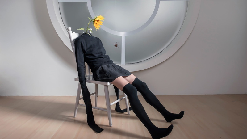 flower, 1080P, legs, chair, fashion, sitting, plant, knee-highs, flowering plant, nature, adult, window, sweater, artwork, flowers, indoors, yellow, shoe