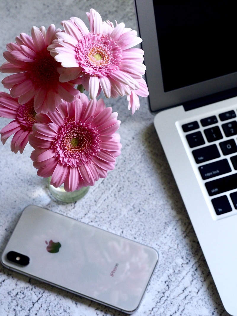 bloom, flower arrangement, indoors, screen, high angle view, phone, no people, bright, close-up, silver, beauty in nature, smart phone, petals, flower