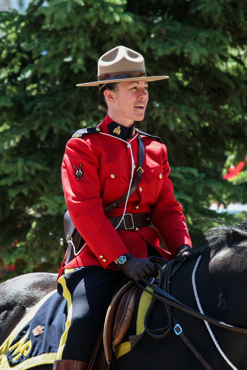 hat, clothing, pets, real people, military, herbivorous, rcmp, one person, horsback, outdoors, horse, vertebrate, canada day, apparel, plant, focus on foreground