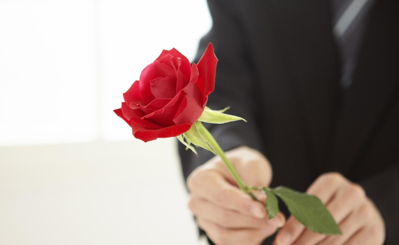 hand, flower head, males, one person, 1080P, nature, gift, leaf, caucasian Ethnicity, rose - Flower, romance, plant, married, people, day, women, indoors