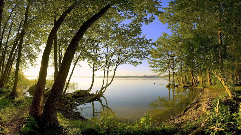 nature, 1920x1080, mobile, desktop, Windows, inspiring, mac, iPhone, Beautiful, laptop, boggling, 1080P, hd, android
