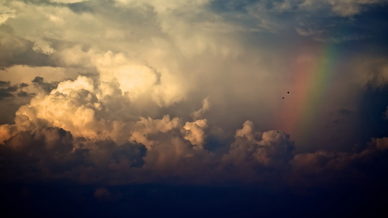 outdoors, idyllic, environment, no people, nature, scenics - nature, clouds, tranquil scene, cloudscape, meteorology, bird, flying, tranquility, vertebrate