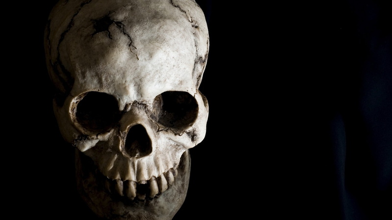 human skull, human bone, black, close-up, people, skeleton, spooky, evil, indoors, human face, still life, 1080P, surprise, gray, black background, bone