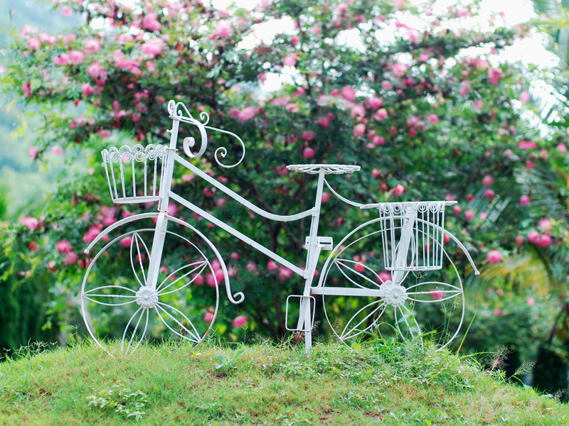White, Flowers, 2K, Basket, Bicycle, Grass, Wheel