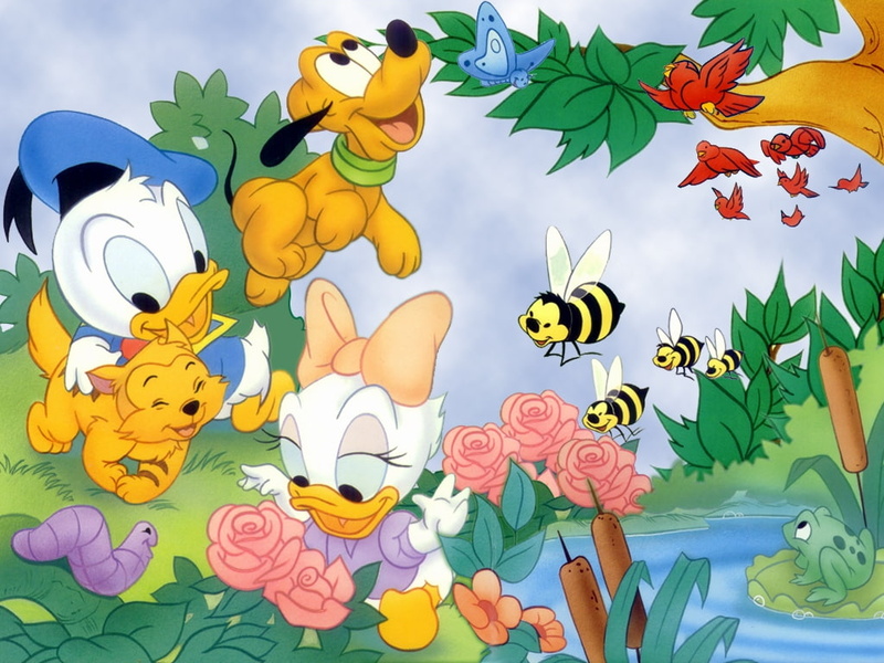 daisy, Flowers, Bee, hd, movies, pond, donald, entertainment, 480P, BIRDS, disney babies, art
