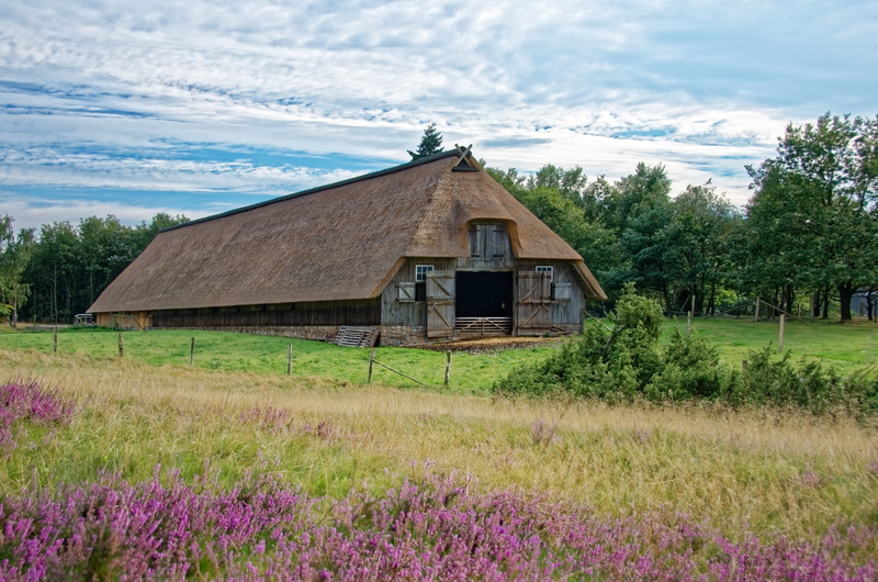 heathland, building, lüneburg heath, heather, landscape, architecture, field, farm, 8K, outdoors, agricultural building, nature reserve, grass, cloud - sky