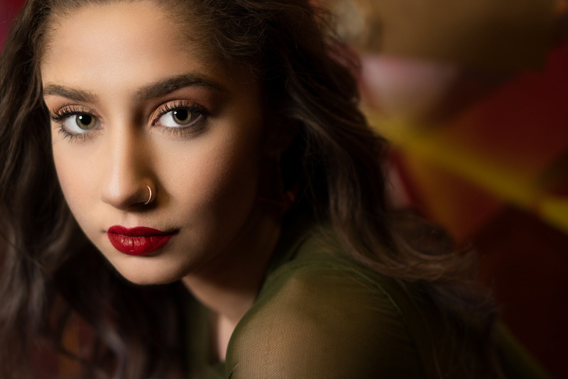 hair, beautiful woman, nose rings, face, headshot, adult, close-up, beauty, long hair, one person, focus on foreground, lipstick, women, human face, indoors