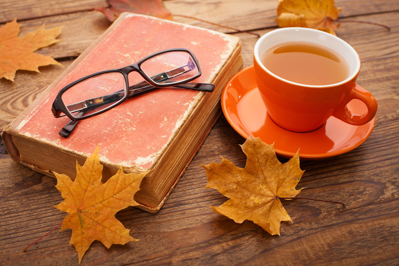 Cup, leaves, orange color, food, high angle view, mug, old, nature, multi Colored, leaf, backgrounds, table, framed, saucer, tea, refreshment, old-fashioned