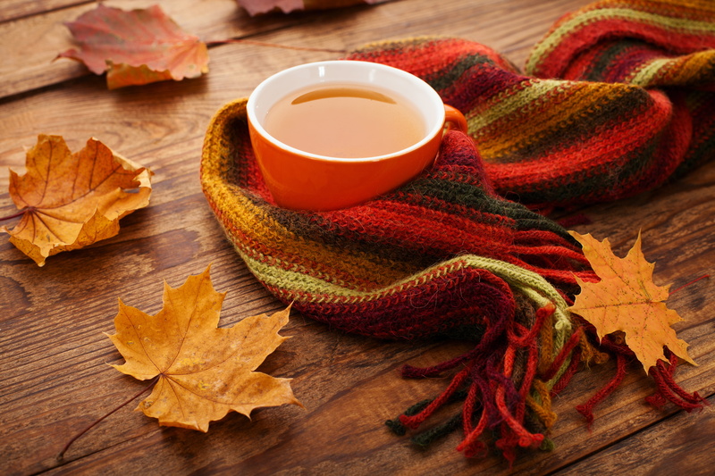 backgrounds, nature, ceramic, thanksgiving, red, brown, wool, autumn, still life, november, leaves, leaf, scarf, october, maple Leaf, multi Colored, Cup