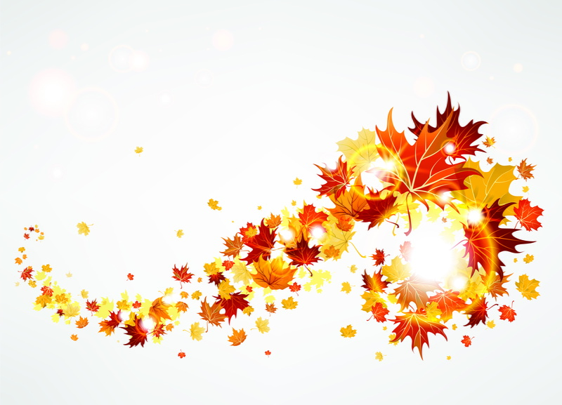 gold Colored, orange Color, summer, plant part, design, backgrounds, maple, 2K, red, studio shot, brown, multi Colored, the wind, flower, shiny, decoration