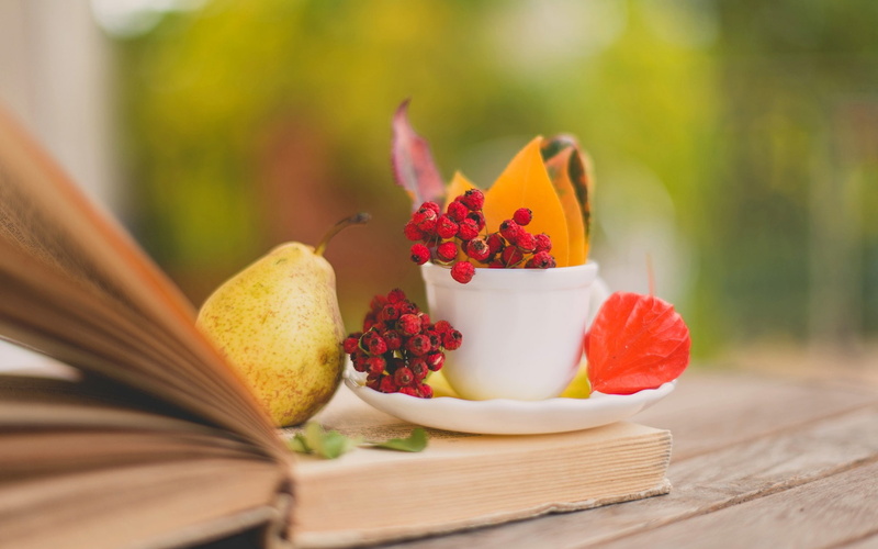Leaves, Book, Pears, Saucer, Life, Cup, white, 1080P, red, berry, Berries, ceramic, Still, mug