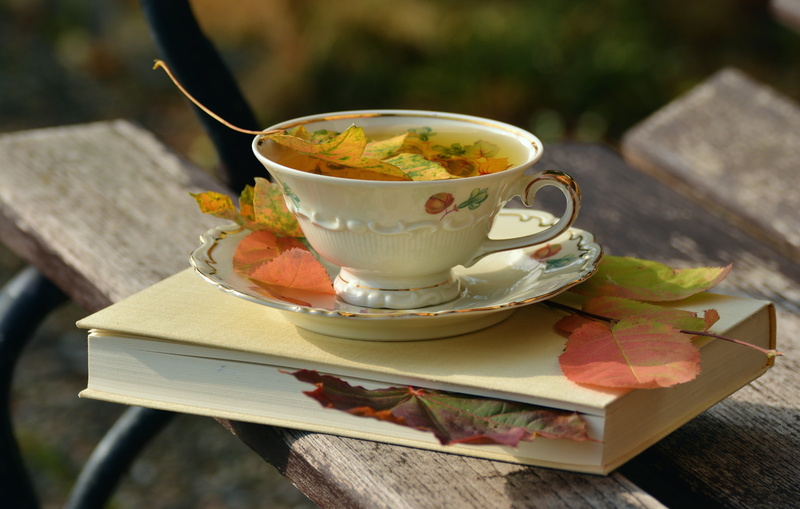 break, tea - Hot Drink, brown, crockery, builds, autumn, eating utensil, garden, cup, 5K, freshness, floral pattern, heat - Temperature, ceramic, wood - material