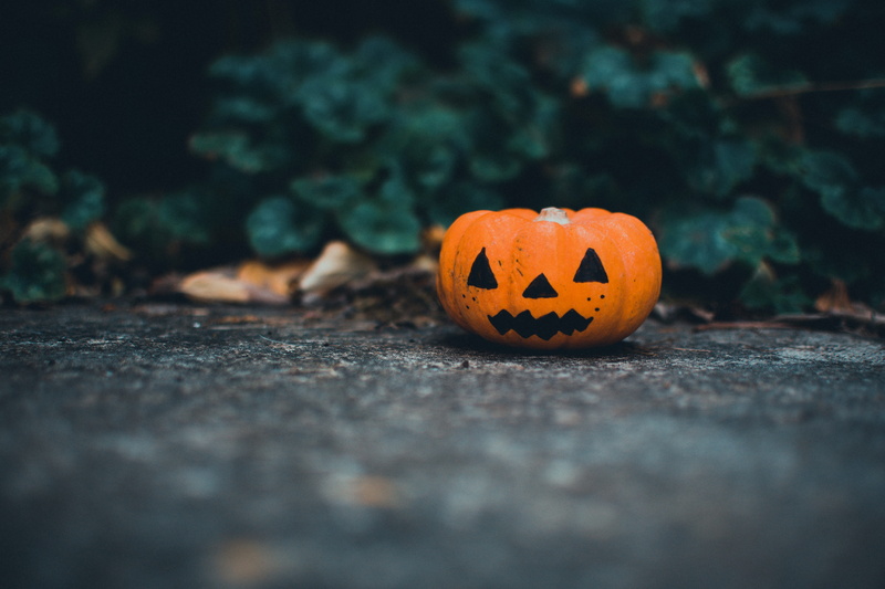 selective focus, celebration, depth of field, floor, food, autumn, squash, season, focus, 5K, jack, o, craft, still life, anthropomorphic
