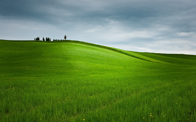tranquil scene, no people, environment, scenics - nature, sky, plant, land, natrue, landscape, Nature, grass, tranquility, Landscapes, outdoors, hill, idyllic