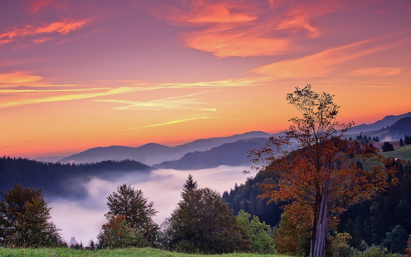 tranquil scene, environment, mountain range, plant, idyllic, scenics - nature, green, sky, 2K, sunset, landscape, no people, fog, remote, outdoors, tree