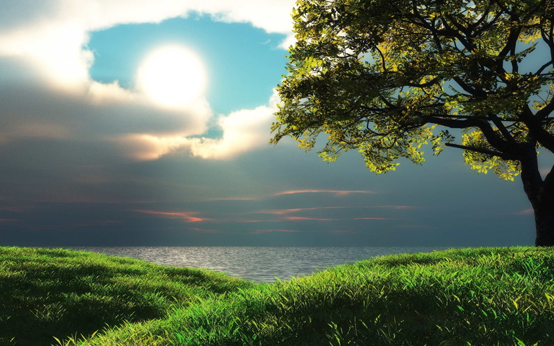 green, tranquil scene, no people, land, mountain, trees, grass, tranquility, field, sunlight, sea, tree, Nature, natrue, outdoors, plant, non-urban scene