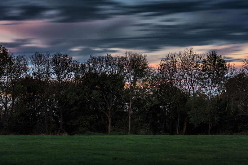 natrue, tranquil scene, growth, outdoors, plant, sunset, united kingdom, land, trees, nature, landscape, cloud - sky, non-urban scene, field, longexposure
