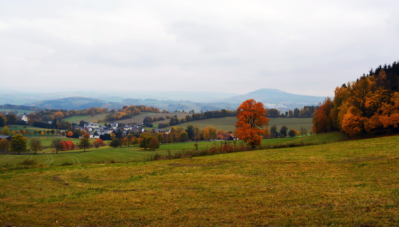 change, cloud - sky, tree, grass, orange tree, landscape, scenics - nature, nature, mountain, misty, green color, trees, 5K, day, autumn, land, outdoors