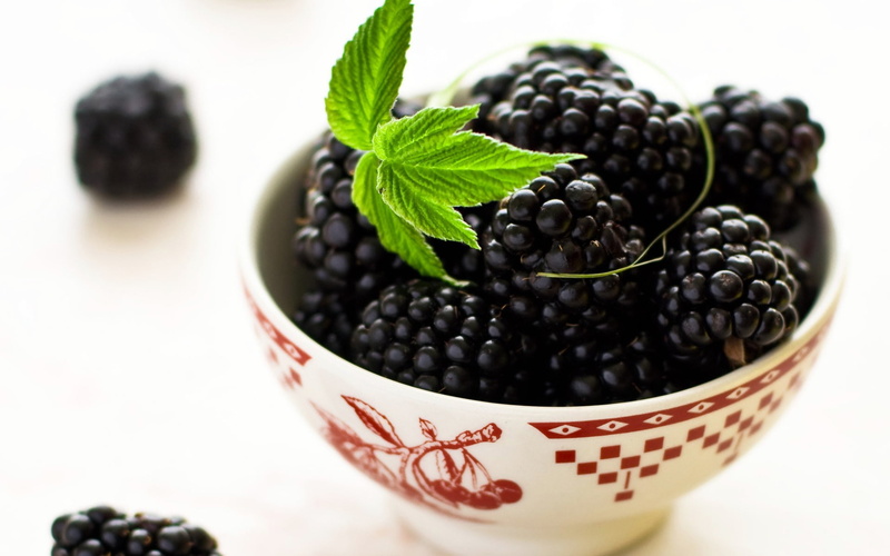 blackberries, container, berry fruit, freshness, focus on foreground, still life, mint leaf - culinary, wellbeing, Food, bowl, natrue, 1080P, black color
