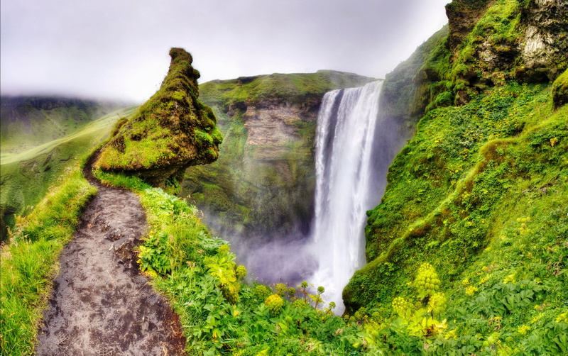 rainforest, plant, rock, waterfall, scenics - nature, tranquil scene, no people, environment, long exposure, tree, flowing, green, tranquility, power in nature