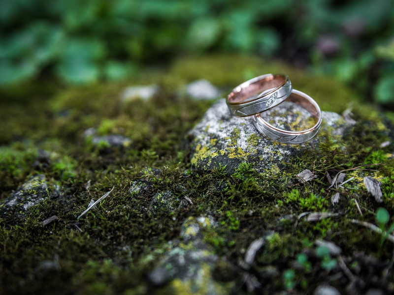 rock - object, rings, emotion, close-up, wedding ring, wedding, land, moss, selective focus, positive emotion, 4K, event, jewelry, love, plant, no people