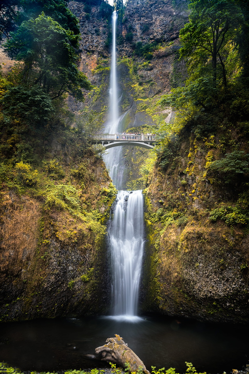 lake, beauty in nature, falling water, long exposure, no people, rainforest, plant, flowing water, solid, power in nature, oregon, rock - object, 2K, environment