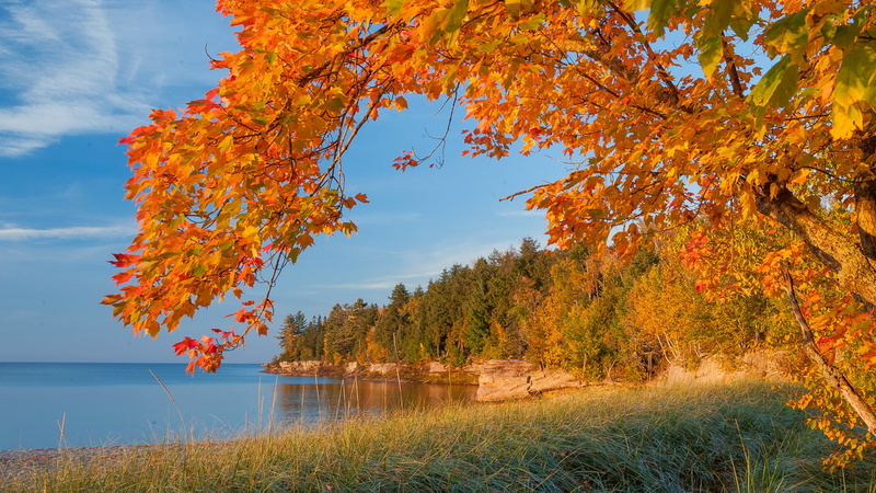 non-urban scene, the sky, rocks, natural condition, orange color, plant, sea, idyllic, tranquility, branch, autumn, water, sky, fall, no people, nature