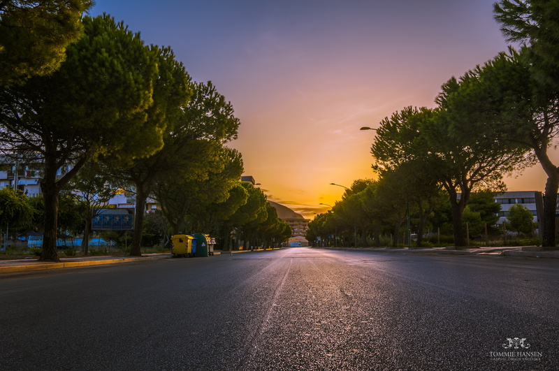 NEX 6, traffic, Urban, Sicilia, asphalt, West, dusk, Sicily, gray, trees, Trapani, Street, Italy, Fall, road, sunset, tree, outdoors, Landscape, 4K, Travel