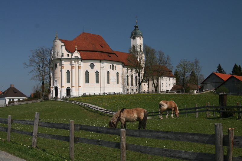 sky, animal themes, herbivorous, schwangau, unterammergau, oberammergau germany, livestock, animal, grass, fence, domestic, building, plant, pilgrimage church of wies