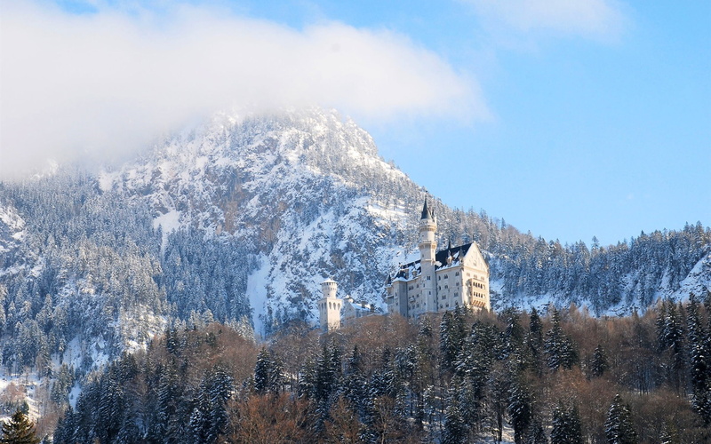 Winter, Castle, 1080P, Bavaria, Trees, Germany, Neuschwanstein