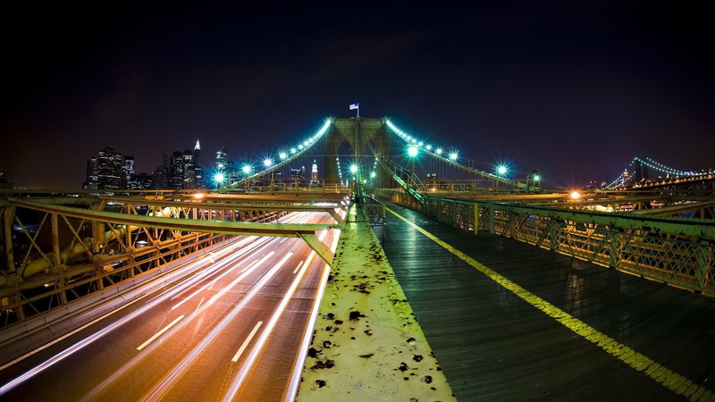 animals, bridge, 1080P, beauty, cool, warm, golden, colourful, awesome