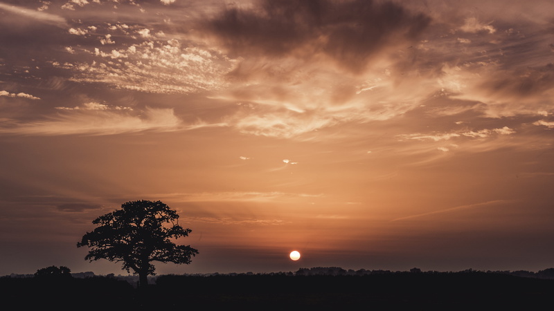 season, 5K, dark, silhouette, sunrise, beauty in nature, warming, travel, moon, sun, colour, cloud, tree, sunset, bright, romantic sky, no people, painting