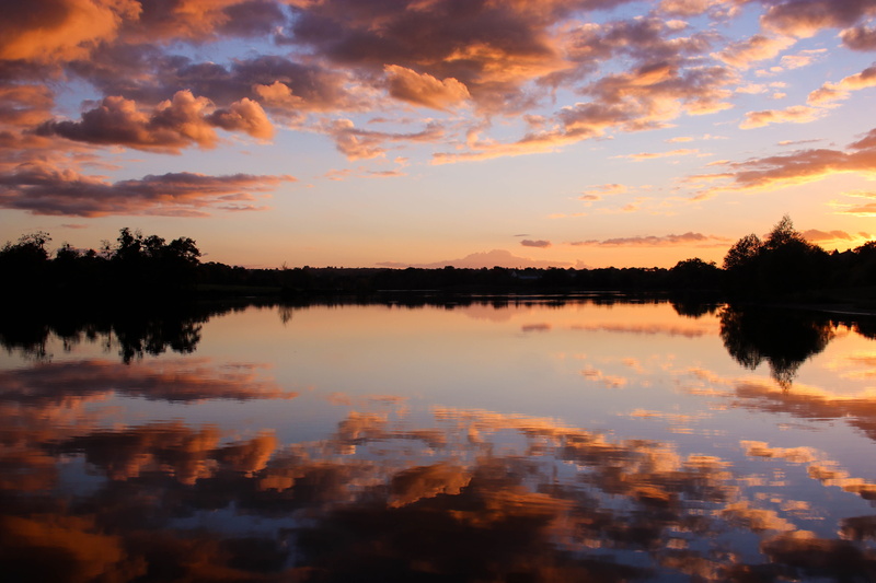 scenics - nature, plant, tranquility, no people, colours, waterfront, colors, black, color, cloud, warm, reflection, blue, yellow, trees, summer, reflection lake