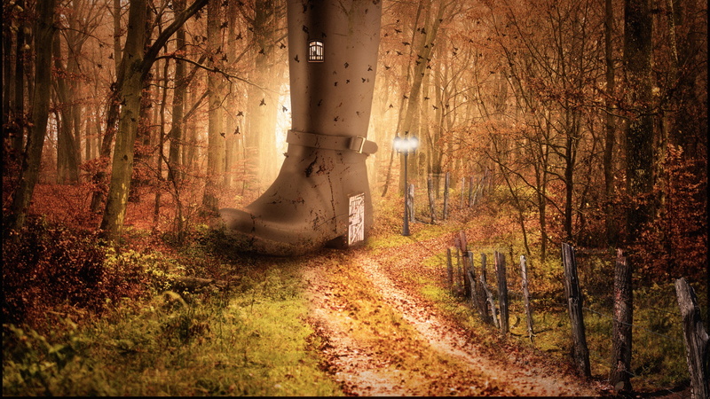 day, field, middle, woodland, autumn colours, fence, composition, tree trunk, scenics - nature, 2K, beauty in nature, buckled, outdoors, sunlight, door