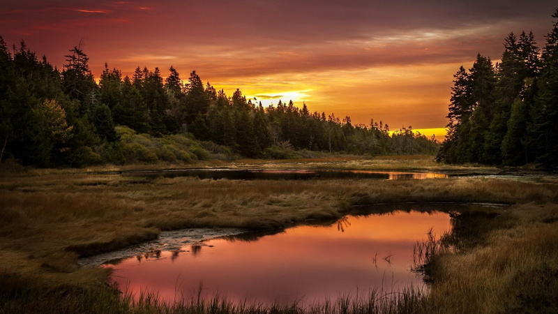 sunset, tranquil scene, lake, pine tree, non-urban scene, cloud - sky, orange color, water, 1080P, beauty in nature, glade, scenics - nature, tree, nature