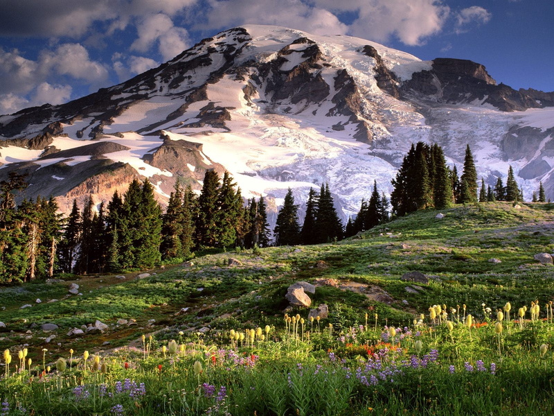 day, winter, extreme Terrain, trees, mountains, alps, environment, summer, snowcapped mountain, flowering plant, tree, green Color, valley, lake, flowers