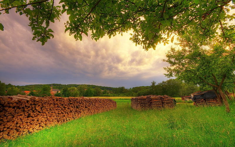 summer vacation, farm, tree, harvesting, non-Urban Scene, grass, autumn, day, green Color, outdoors, summer, meadow, beauty in nature, wood - Material