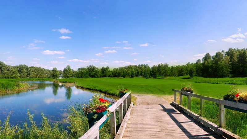landscape, season, bridge, tree, 1080P, water, reflection, bridge - Man Made Structure, meadows, rural Scene, sky, wood - material, non-Urban Scene, plant