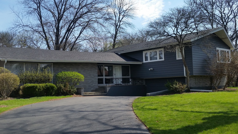 colored, building, chicago, outdoors, residential district, 5K, house, coloured, colour, color, renovation, decorating, garage, nature, green color, tree