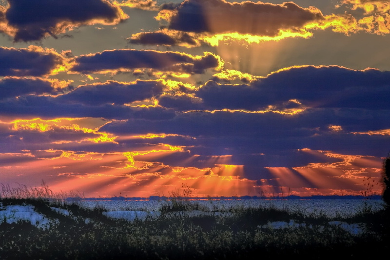 sunlight, scenics - nature, ocean, idyllic, usa, sun rays, plant, tranquil scene, horizon, land, field, tranquility, nature, orange color, florida, beauty in nature