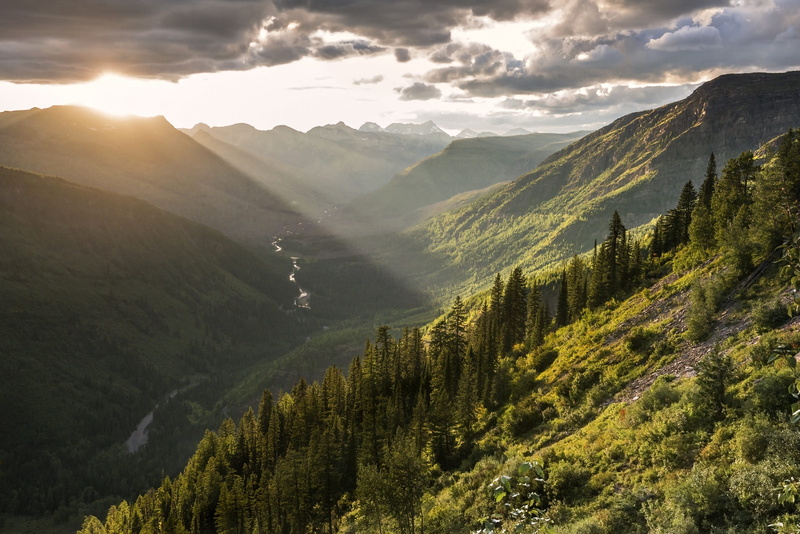 cloud - sky, valley, trees, plant, idyllic, nature, pine tree, tranquility, sunbeam, scenics - nature, beauty in nature, mountain range, wilderness, grass