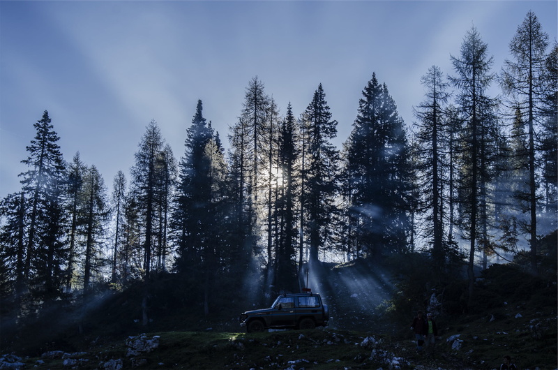 day, suv, no people, landscape, scenics, forest, trees, land, sky, transportation, sunset, black, near, non-urban scene, growth, parked, pine tree, coniferous tree