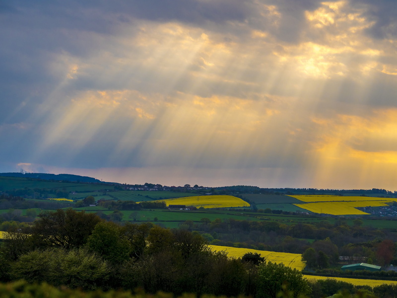 summer, clouds, dramatic sky, land, yorkshire, landscape, dark, fields, tranquil scene, scenery, tree, dramatic, tranquility, 4K, storm, scenics - nature
