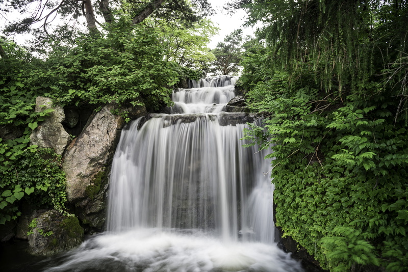 long exposure, plant, solid, flowing, botanical, freshness, time-lapse, landscape, Chicago, public domain, falling, tropical Rainforest, Beautiful, chicago botanical gardens