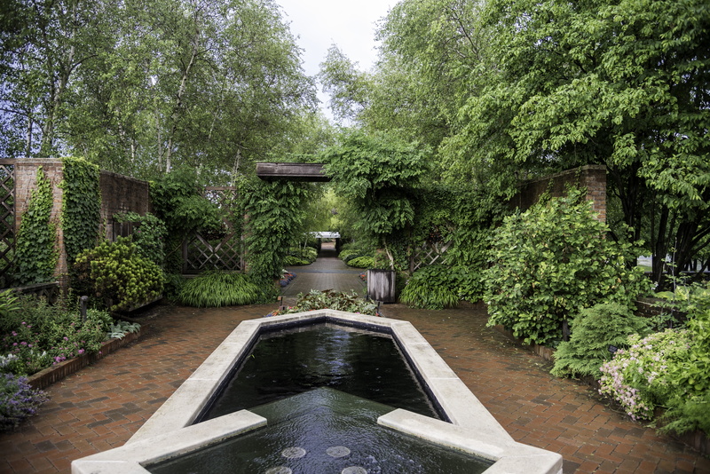 flora, bridge - man made structure, plant, gardens, 5K, outdoors, formal Garden, architecture, water, building exterior, tree, built structure, Botanical Gardens