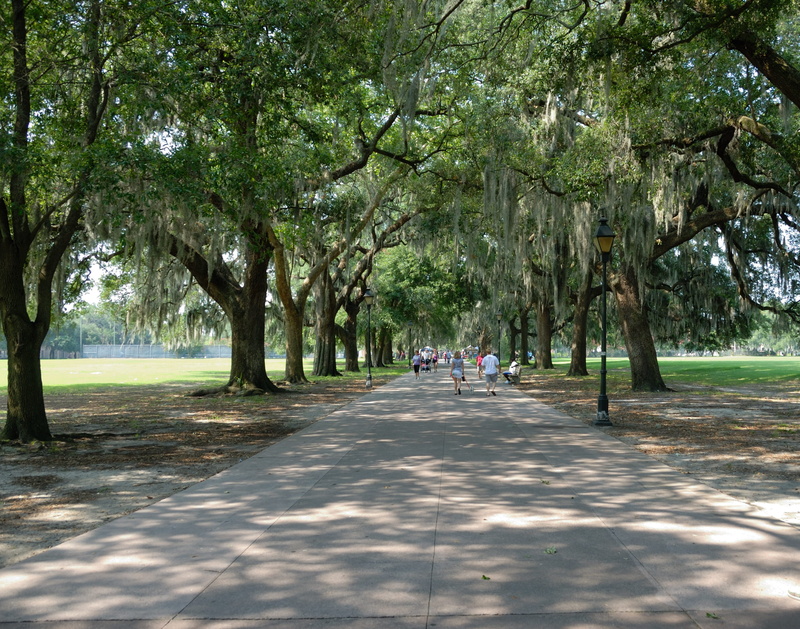 2K, savannah, sunlight, scene, landmark, georgia, outdoors, oak, people, southern, southeast, travel, footpath, Georgia, Usa, trees, south, tree, plant