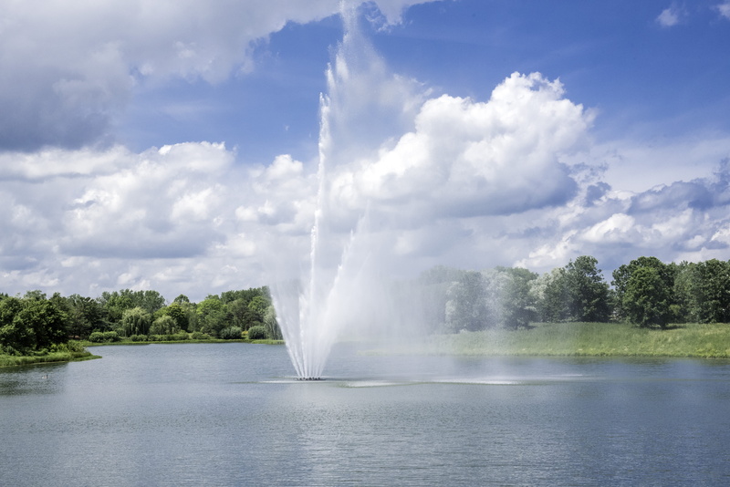 blue, Chicago, gardens, splashing, water, fountain, botanical, pool, sky, environment, landscape, natural disaster, tree, plant, clouds, lake, outdoors