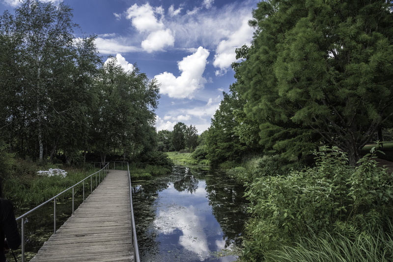 Botanical Gardens, green color, diminishing perspective, river, forest, water, gardens, non-urban scene, trees, chicago botanical gardens, tree, beauty in nature